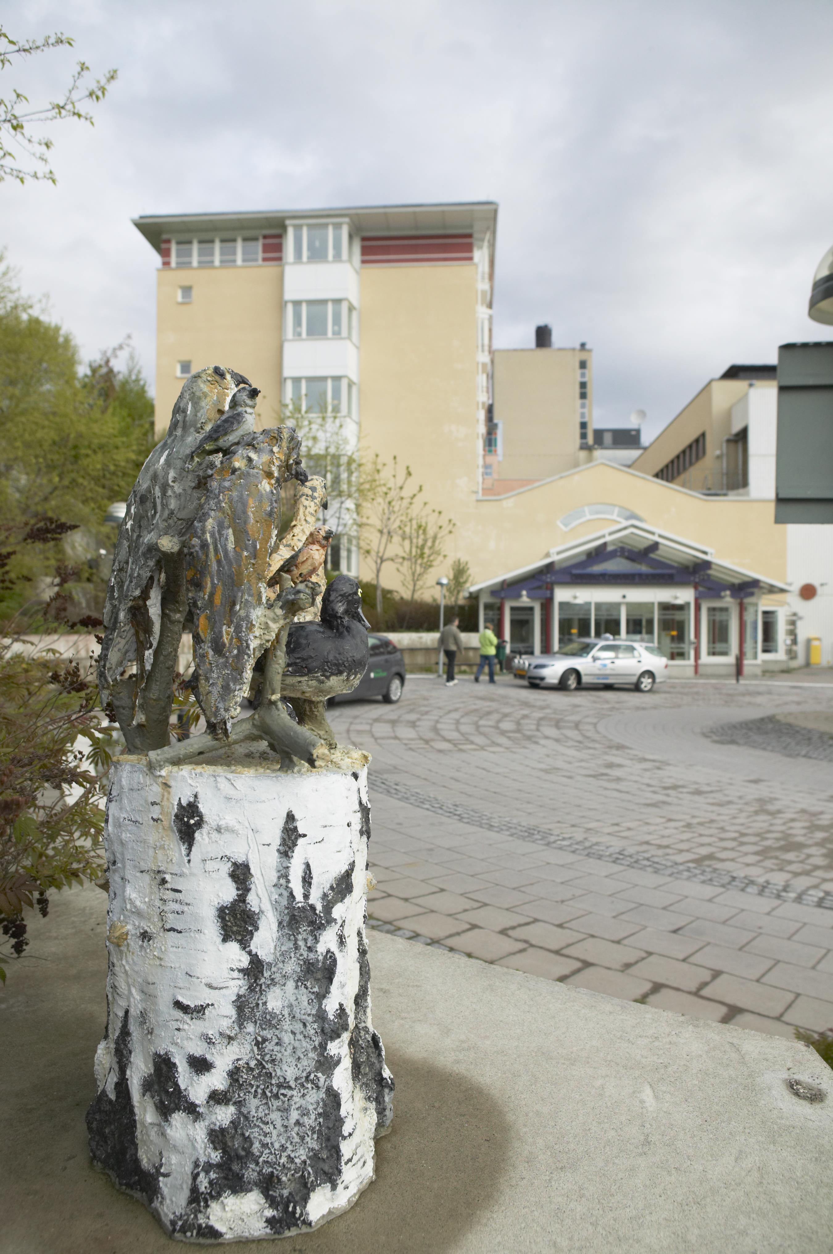 Bengt A Lundberg, Örnsköldsviks sjukhus