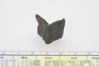 Image of Vg NOR2002;34