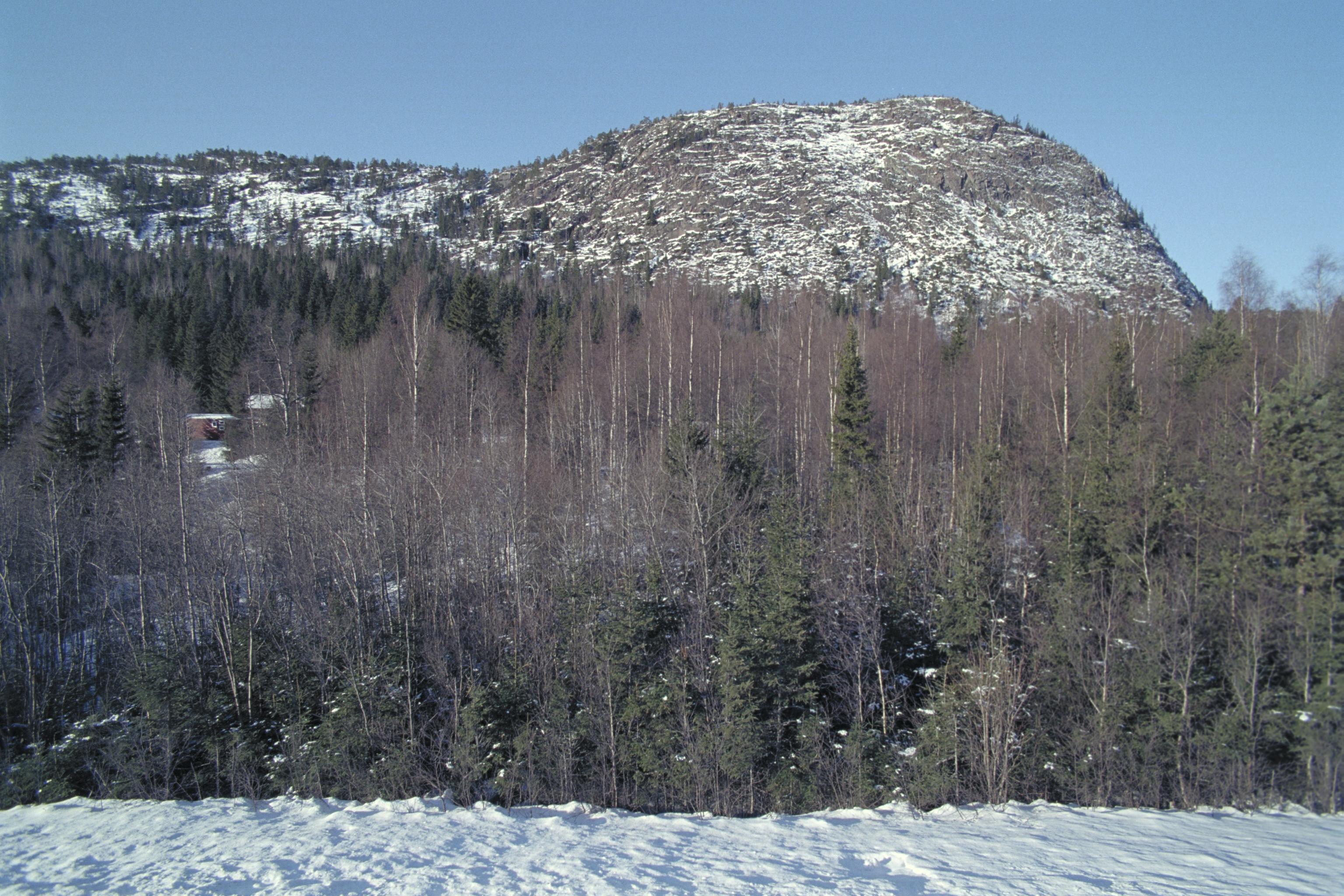 Bengt A Lundberg, Skuleberget