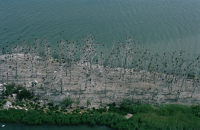 Vargrundet i Bråviken