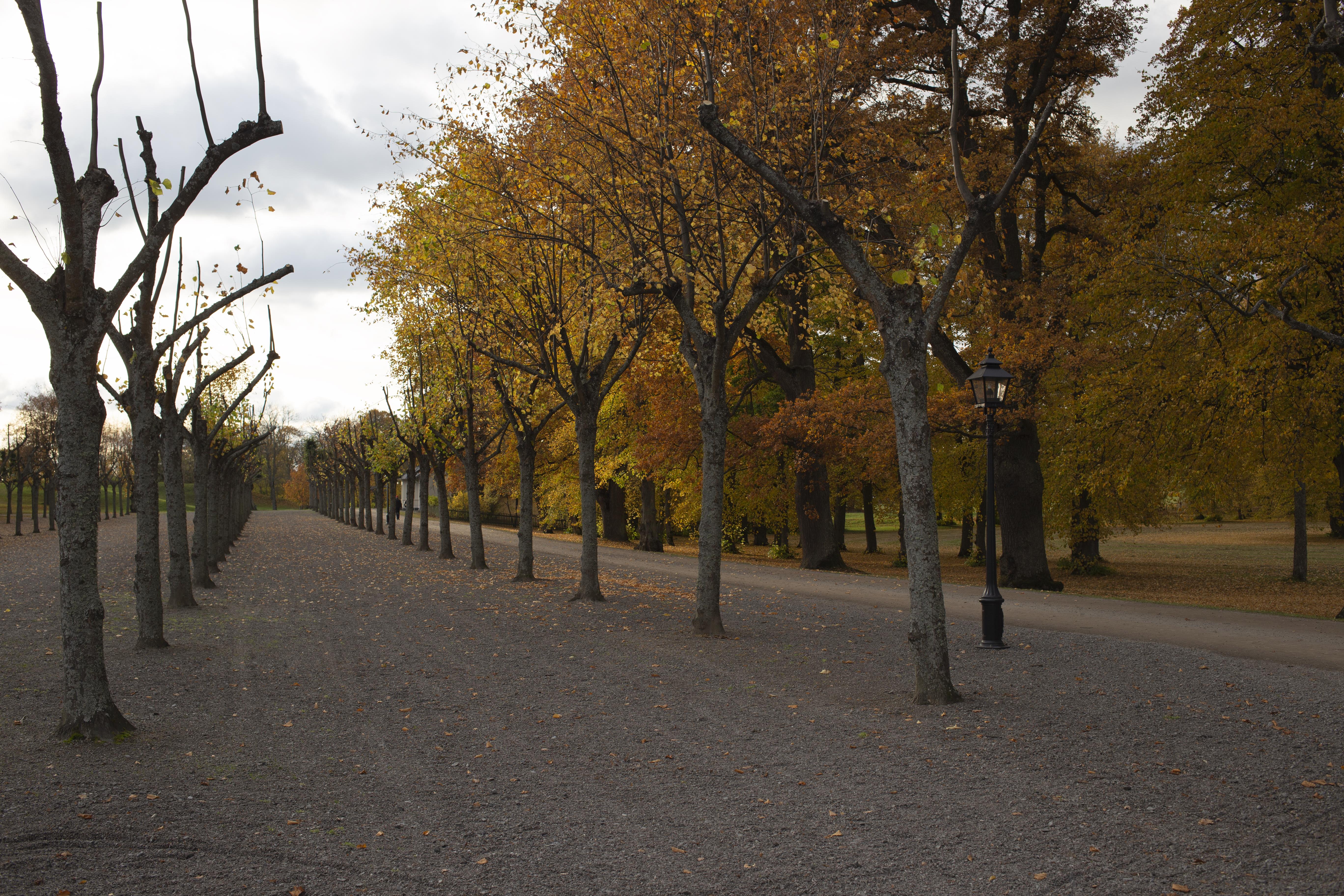Leif Gren, Drottningholm