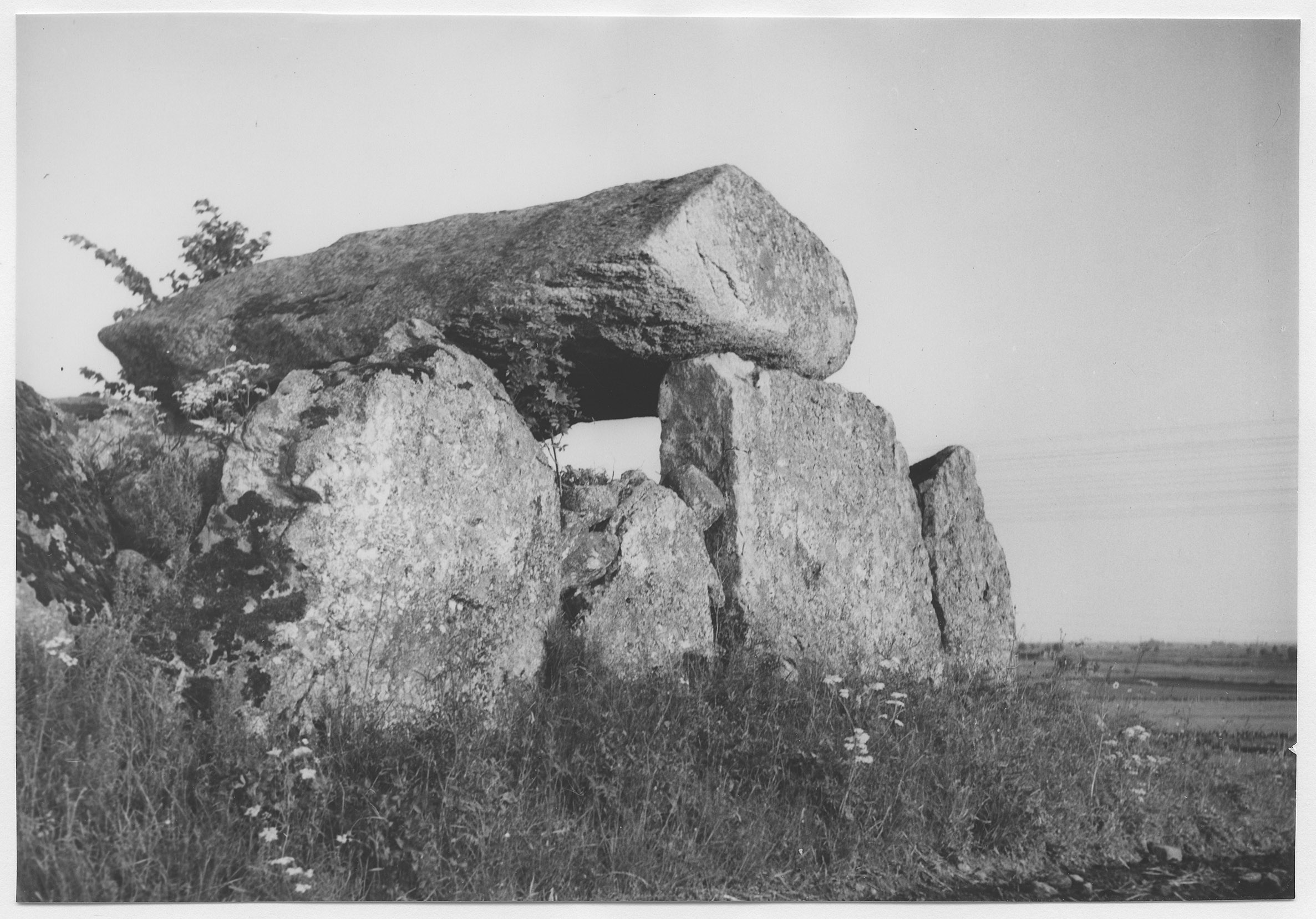 Mårten Sjöbeck, Luttra 15:1, gånggrift