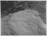 Kallsängen hällristningar