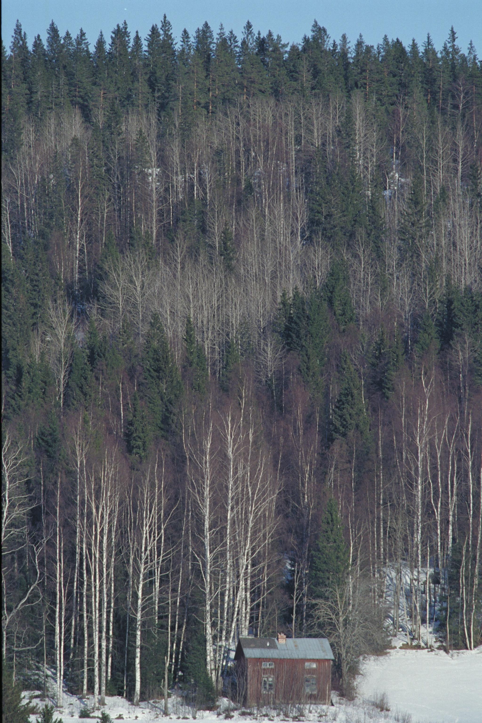 Bengt A Lundberg, Bräcke