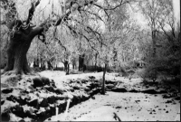 Kloster, Klosterkyrkogården