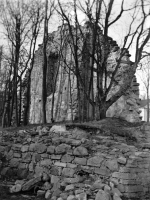 Edsberg, Riseberga klosterruin