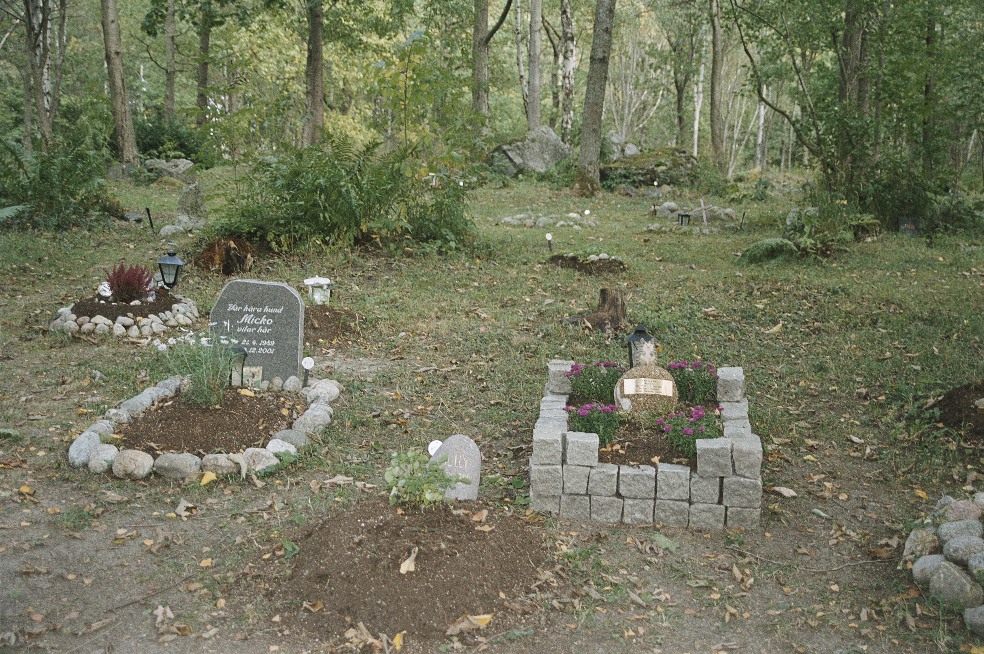 Bengt A Lundberg, Djurkyrkogården vid Kaknäs