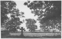 Västerplana kyrka, kyrkogården