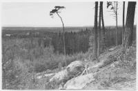 Landskap vid Finnerödja station