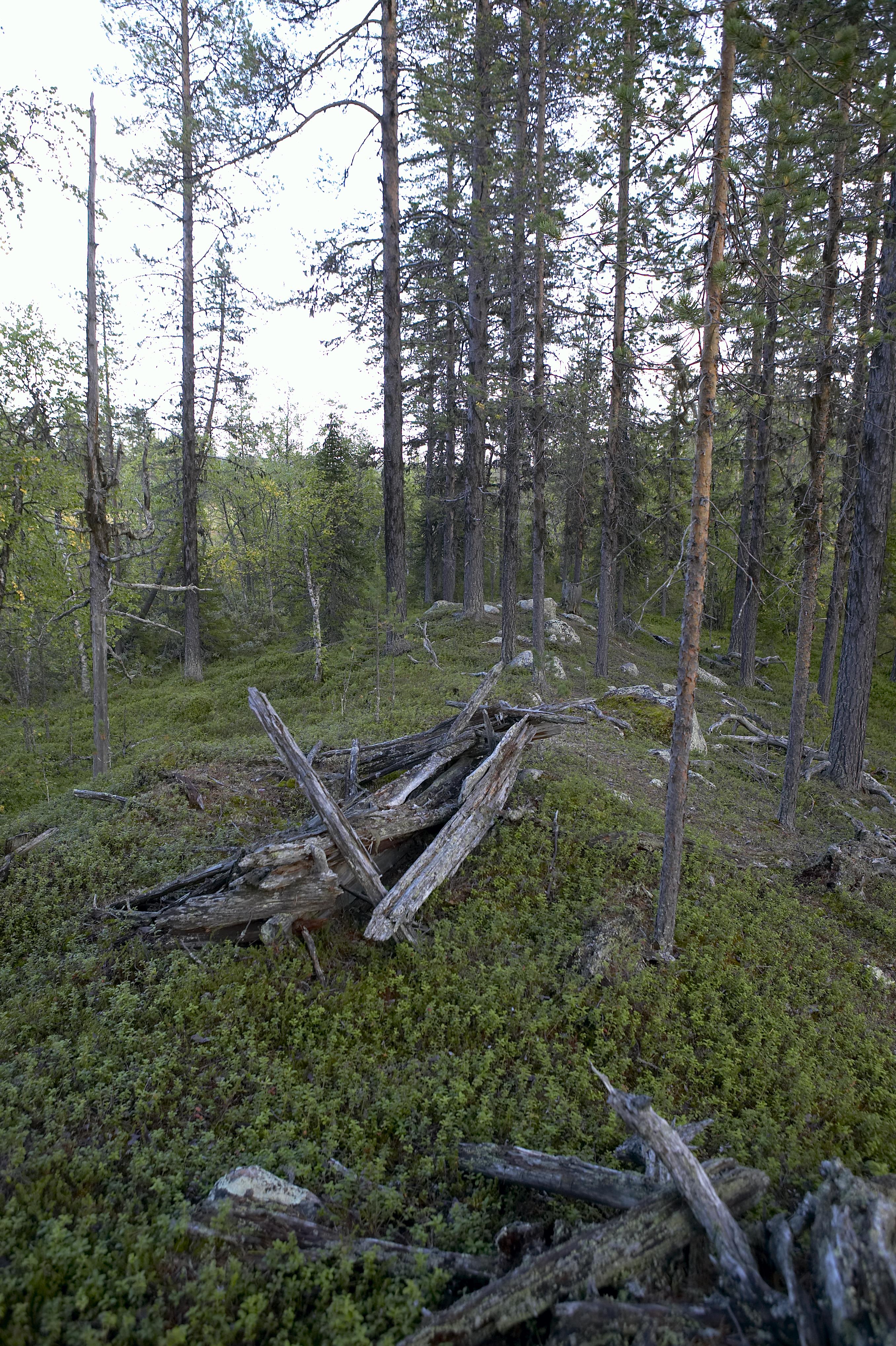 Bengt A Lundberg, Kaltisbäcken