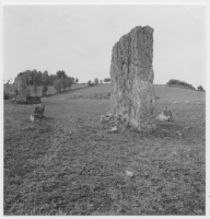 Ekornavallens gravfält