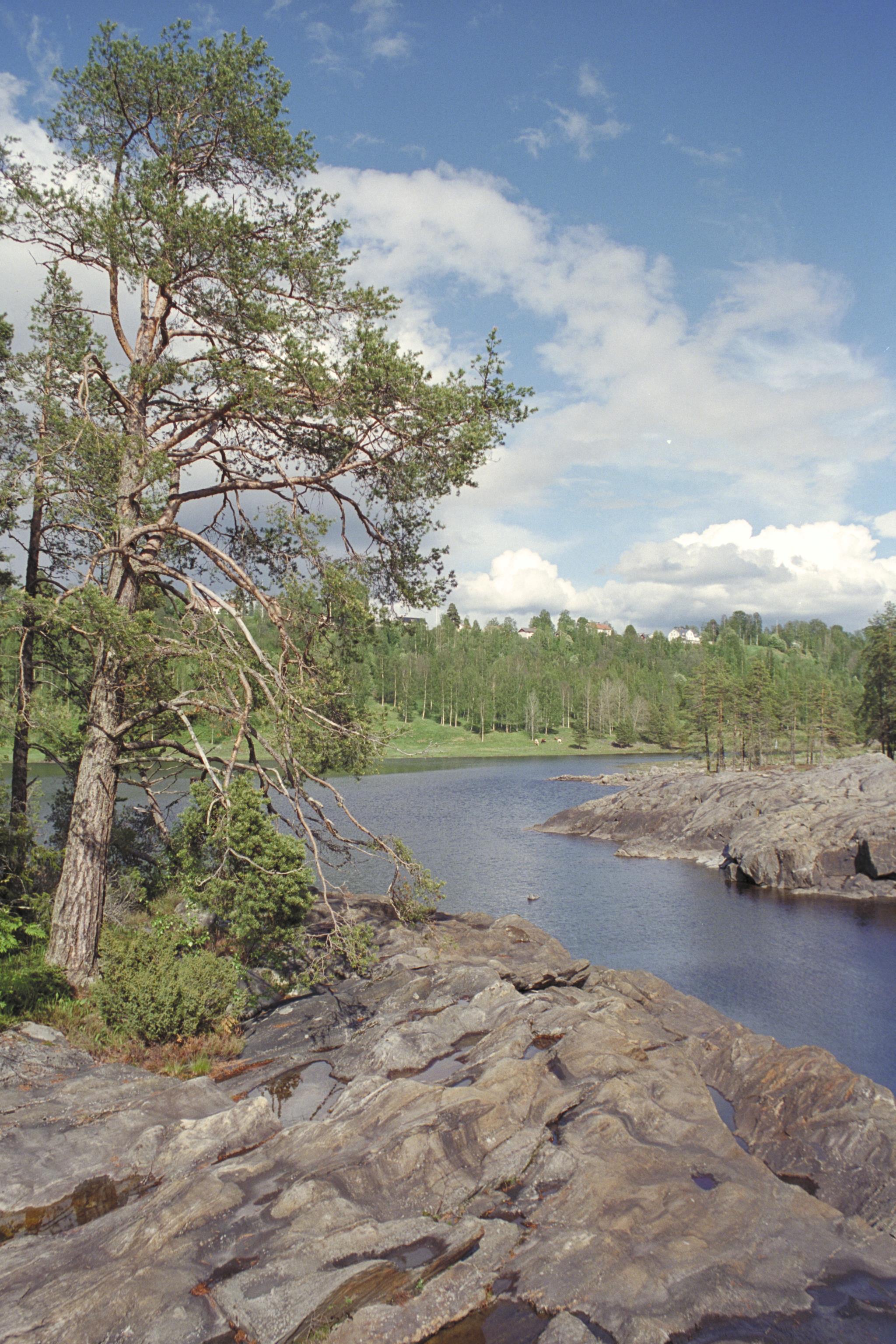 Bengt A Lundberg, Nämforsen, hällristningsområde