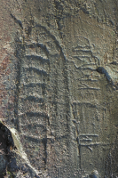 Image of Bo NIYR5;224