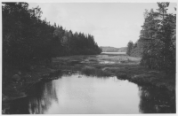 Vägen mellan Åmmeberg och Hammar