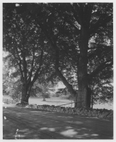 Värnanäs herrgård