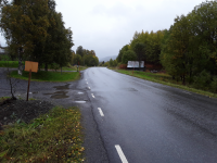 Duved ödesböle L1946:5946