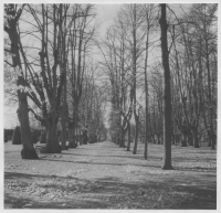 Drottningholms slott