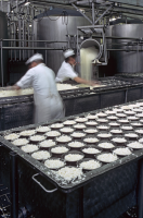 Ostkompaniet MC Mejeriet