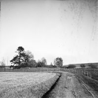 Vänersborg, Naglums kyrkoruin