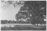 Värnanäs herrgård