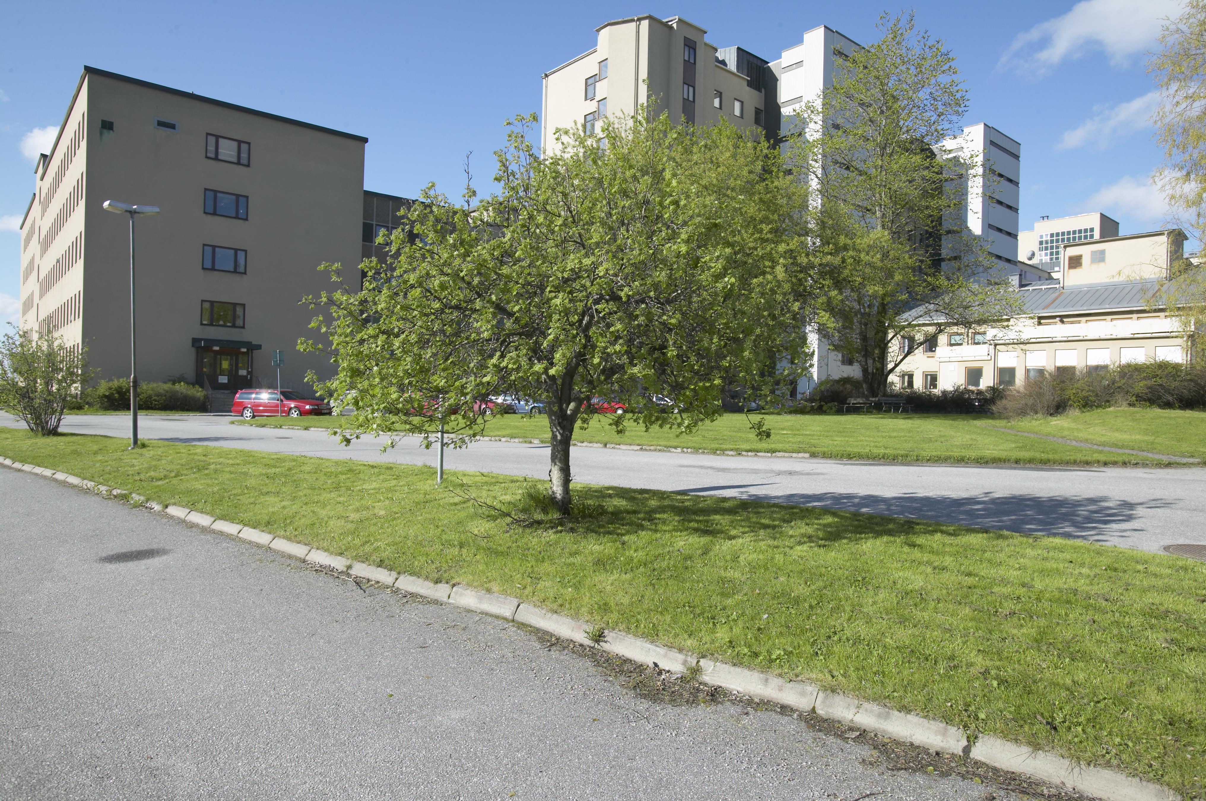 Bengt A Lundberg, Örnsköldsviks sjukhus