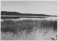 Norra Malma, Sjön Erken