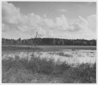 Starrmyr öster om Tingvalla station