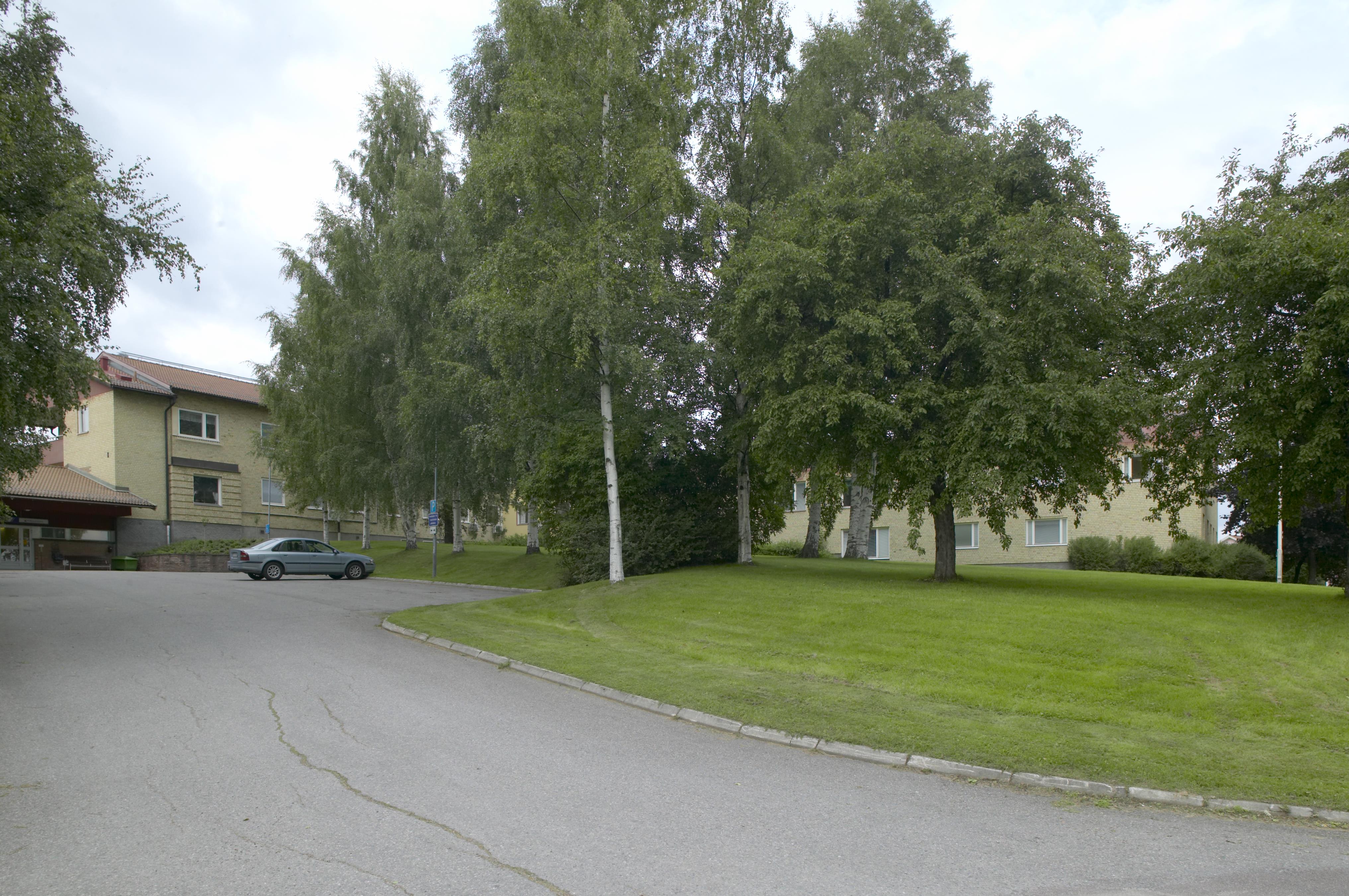 Bengt A Lundberg, Smedjebacken