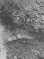 Skänninge, Allhelgona Församling