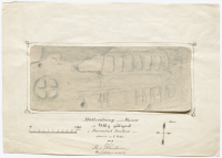 Image of Bo NIYR5;224