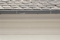 Prosten Silvius stiftelse