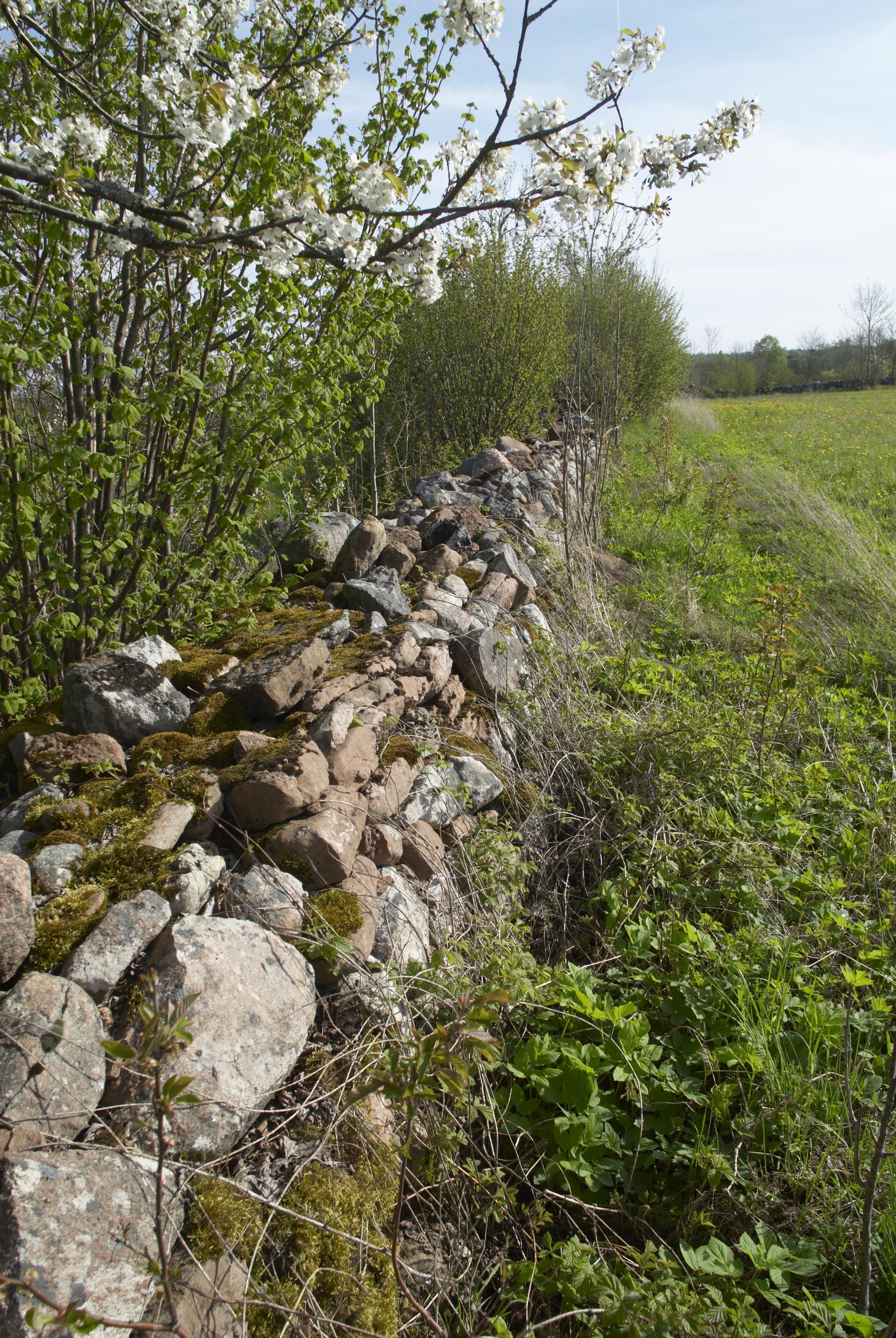 Bengt A Lundberg, Nordbillingen