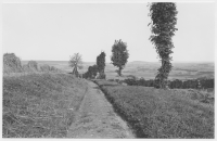 Saleby, väg uppför Ållebergs östra sluttning