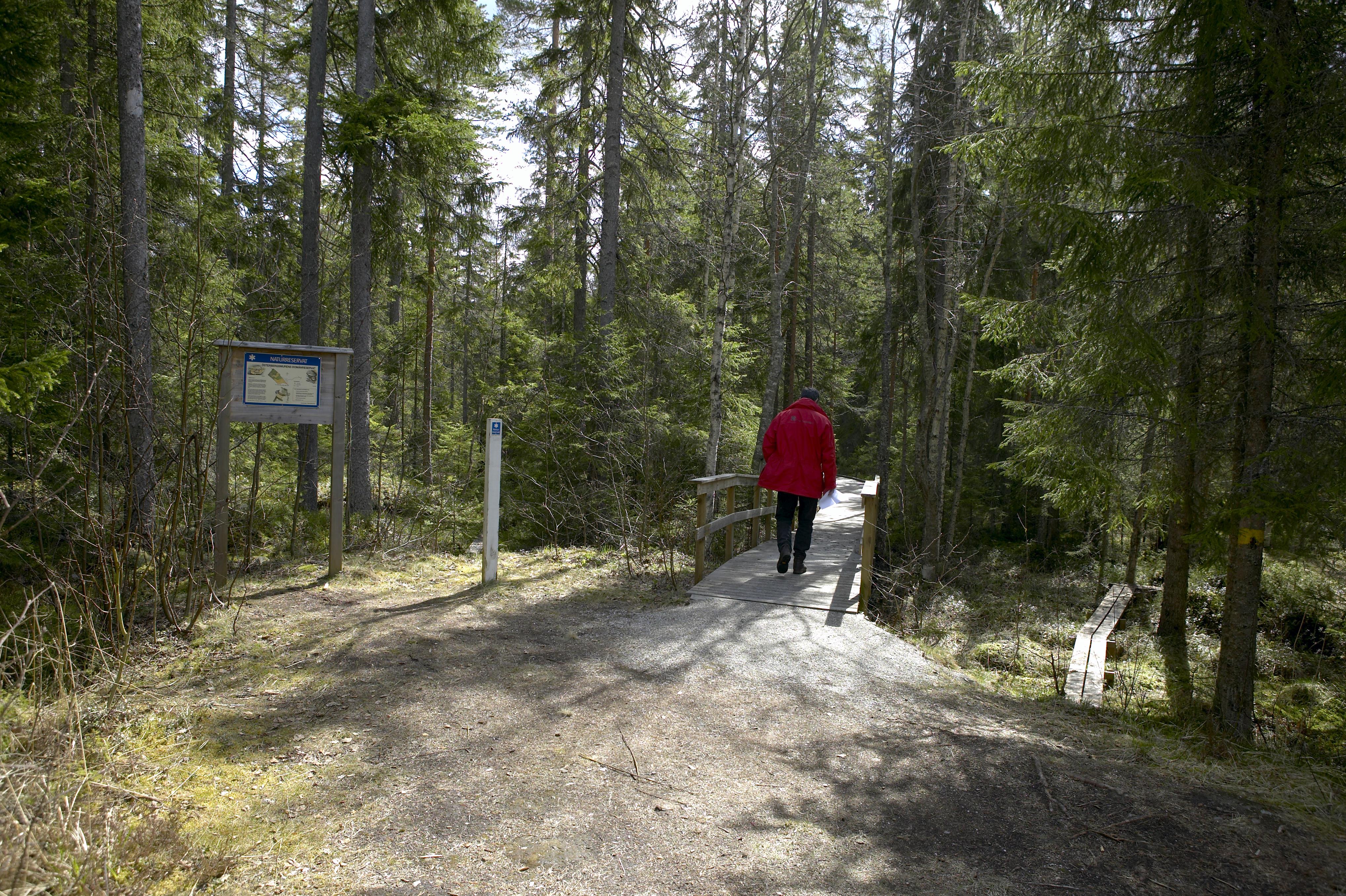Bengt A Lundberg, Österbergsmuren