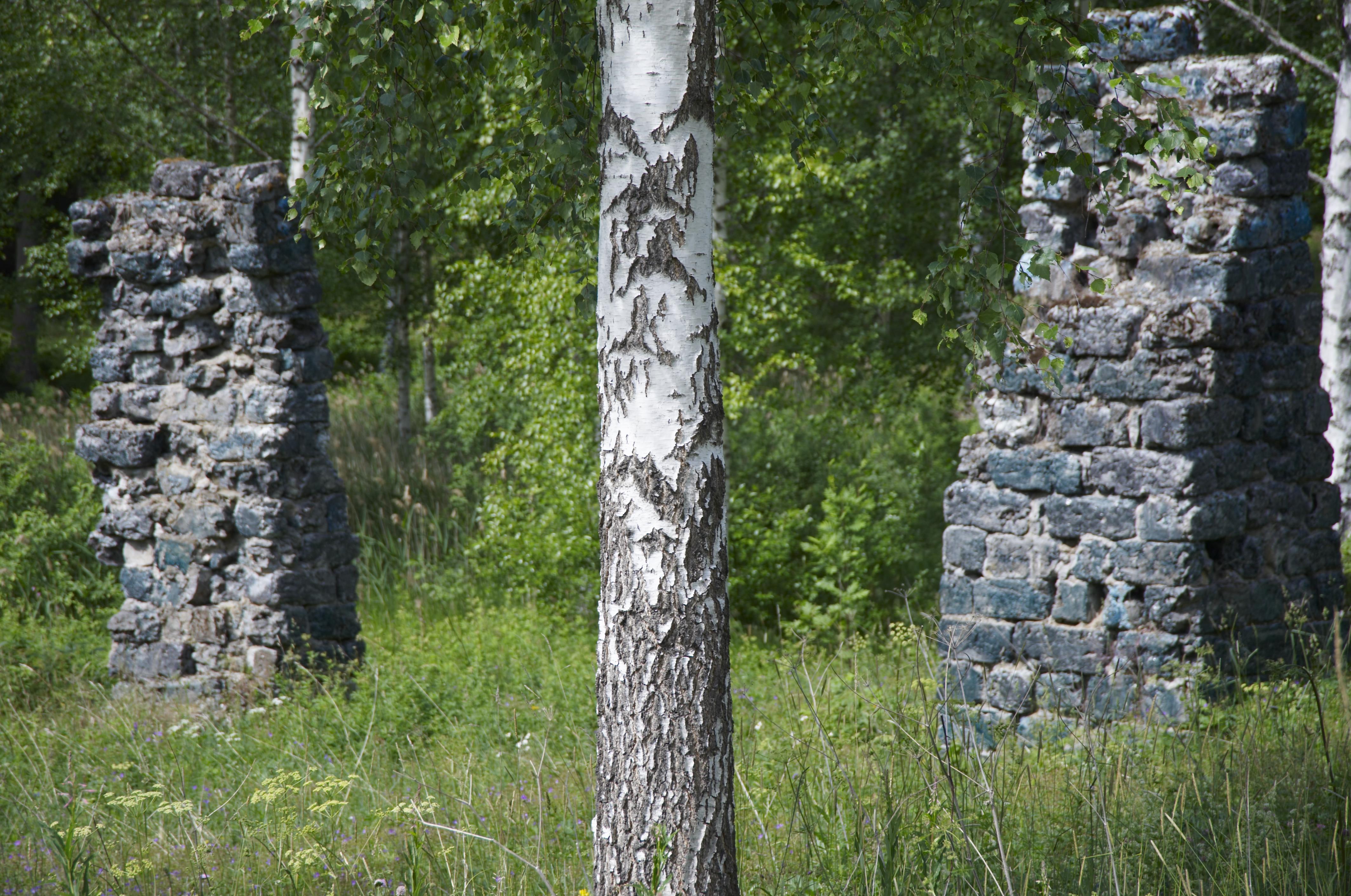 Bengt A Lundberg, Silvhytteå bruk