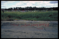 Hällristning vid Norrköping