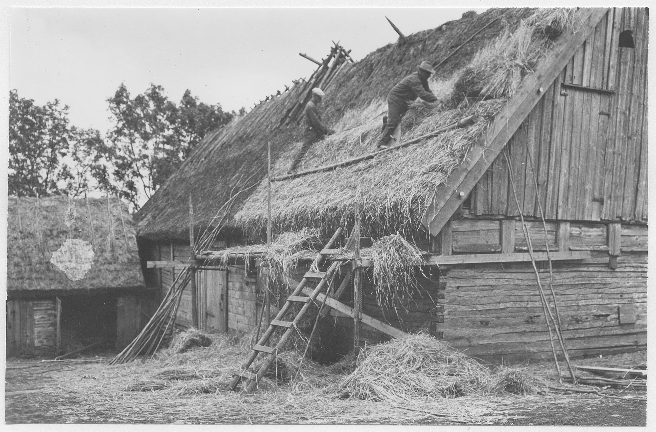 Mårten Sjöbeck, Karleby, taktäckning med halm