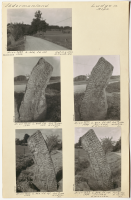 Aspa. Runsignum Sö 137