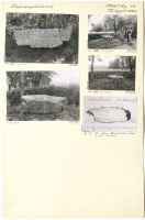 Tolsgården. Runsignum Vg 34