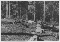 Dals-Eds socken, järnåldersgravfält