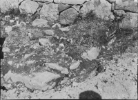 Sigtuna, Sankt Olofs kyrkoruin