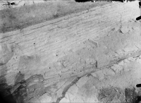 Varnhems klosterruin