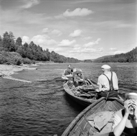 Bergeforsens dämningsområde