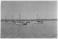 Träslövs socken, hamnar