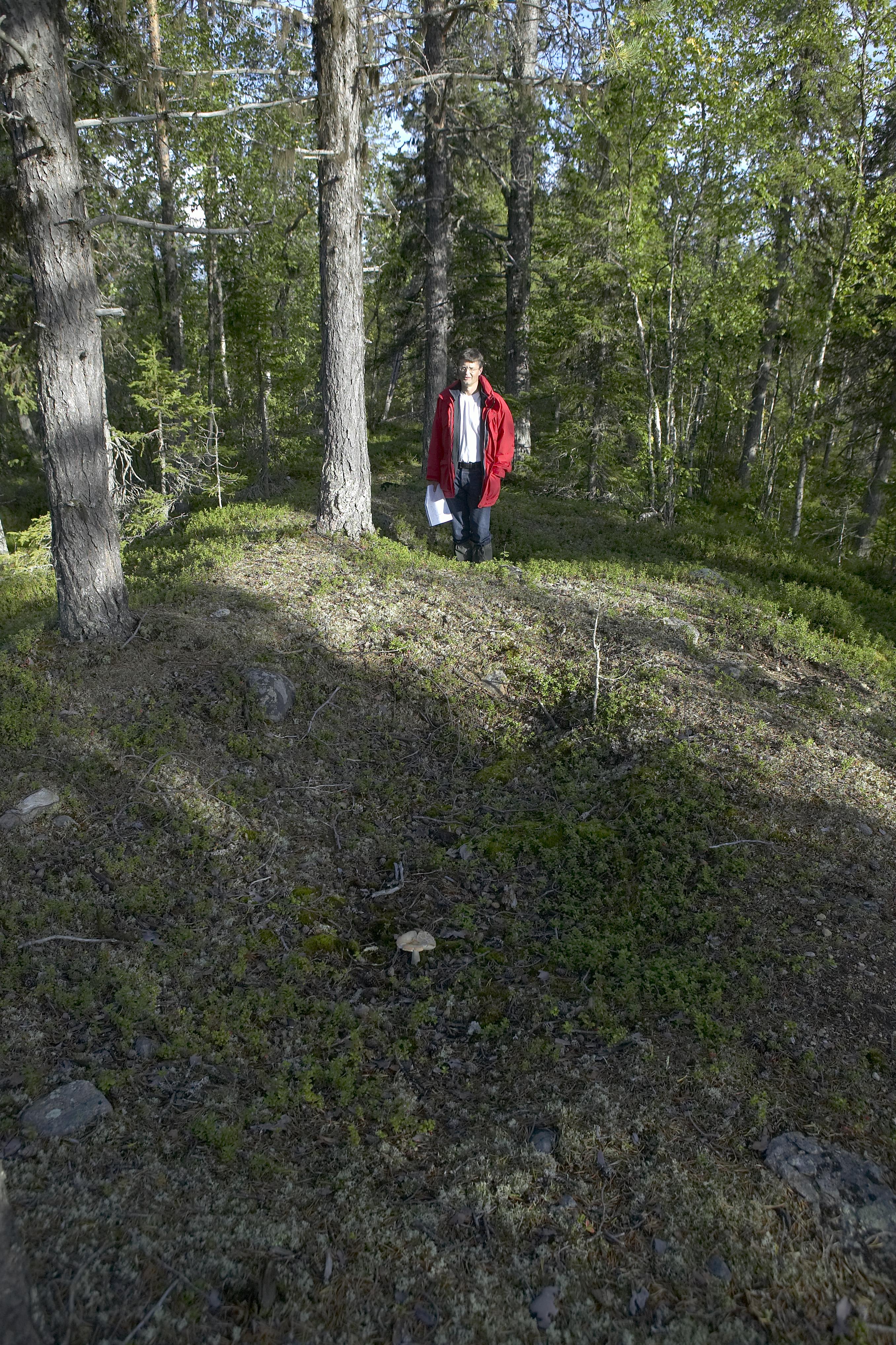 Bengt A Lundberg, Kaltisbäcken