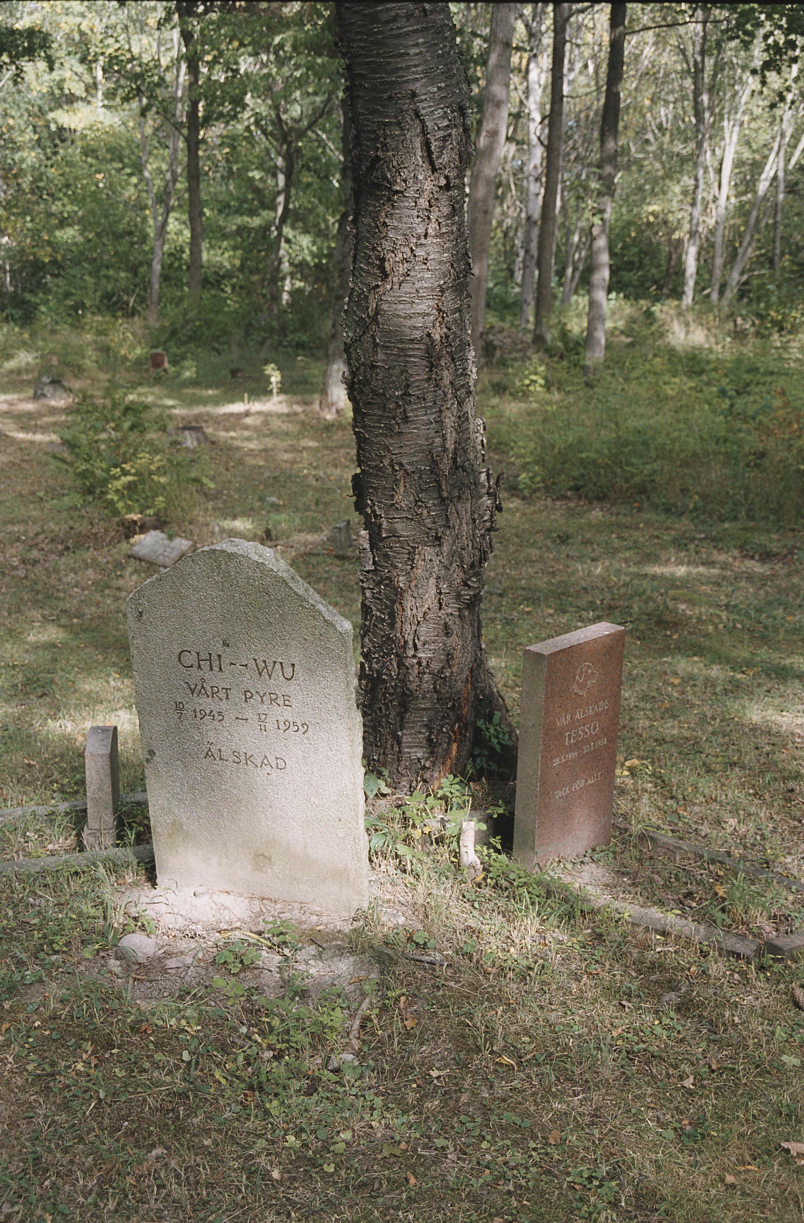 Bengt A Lundberg, Djurkyrkogården vid Kaknäs