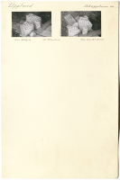 St Ullentuna. U Fv1979;244B