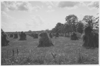 Lännäs socken, väg