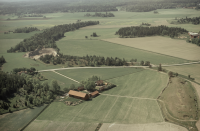 Husby-Långhundra 225:1