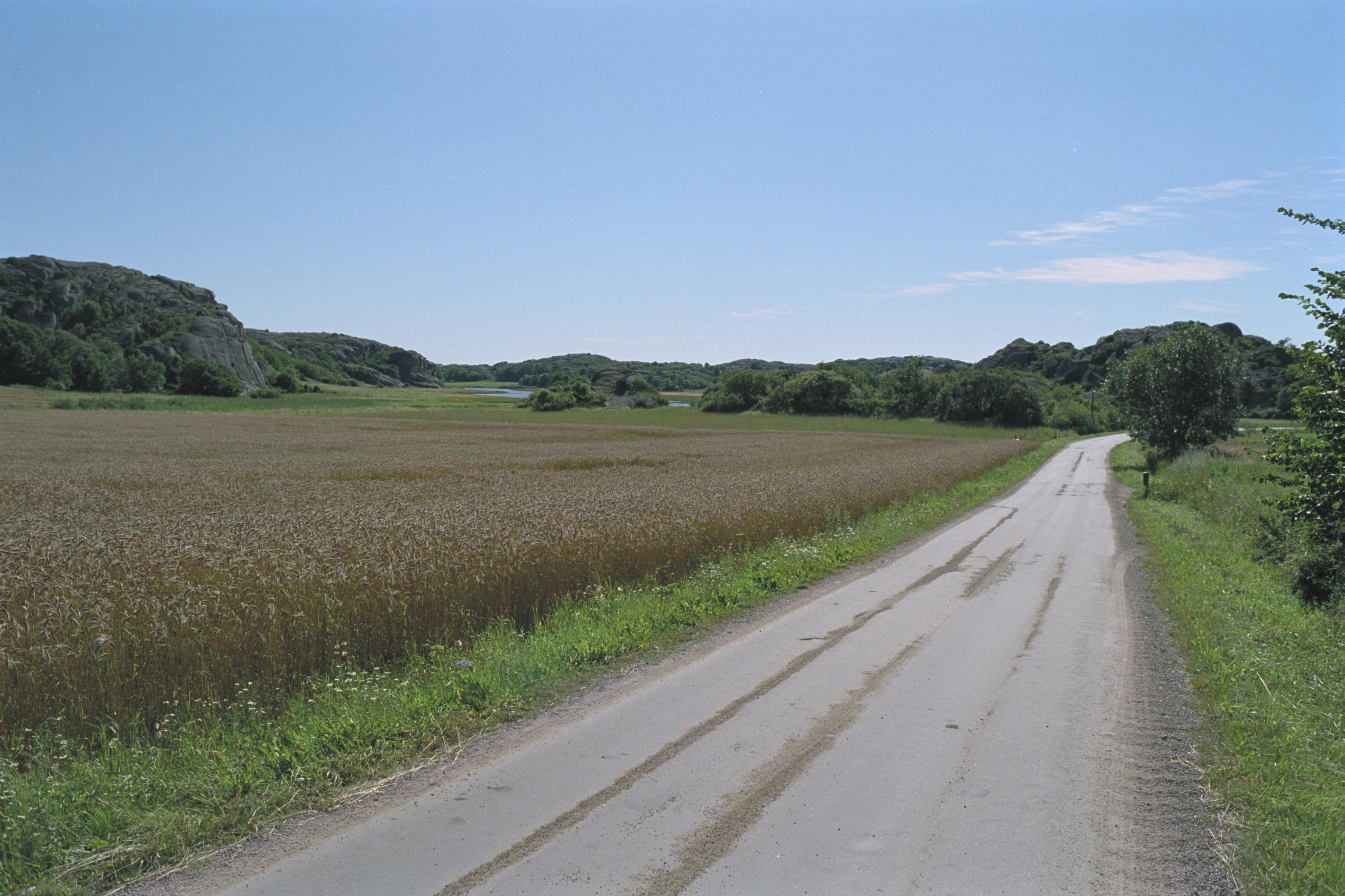 Bengt A Lundberg, Valön